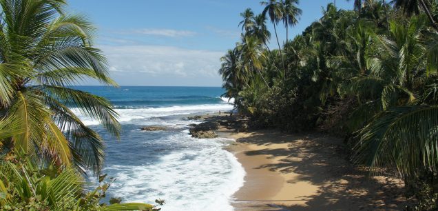 Manzanillo