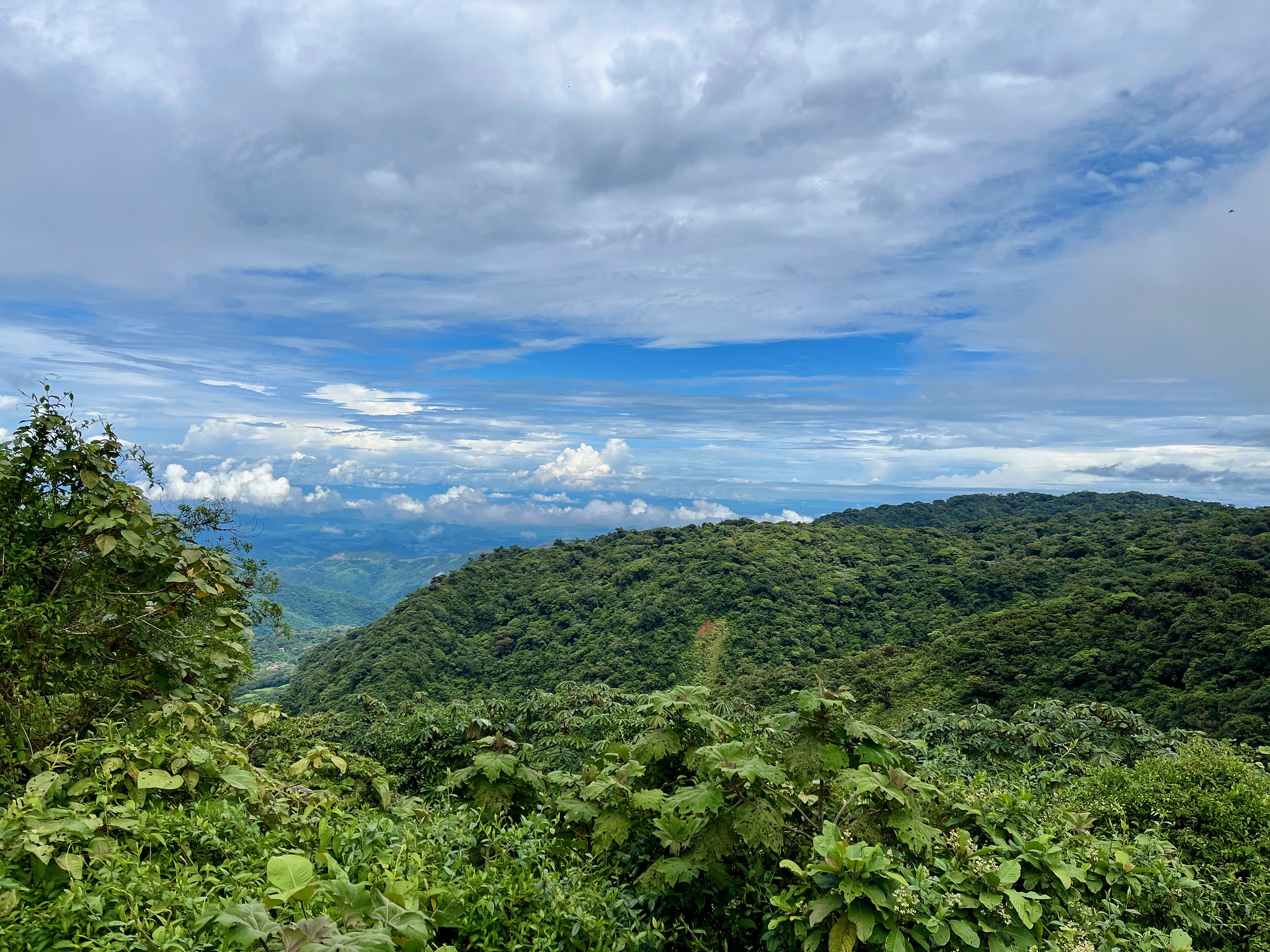 monteverde-1