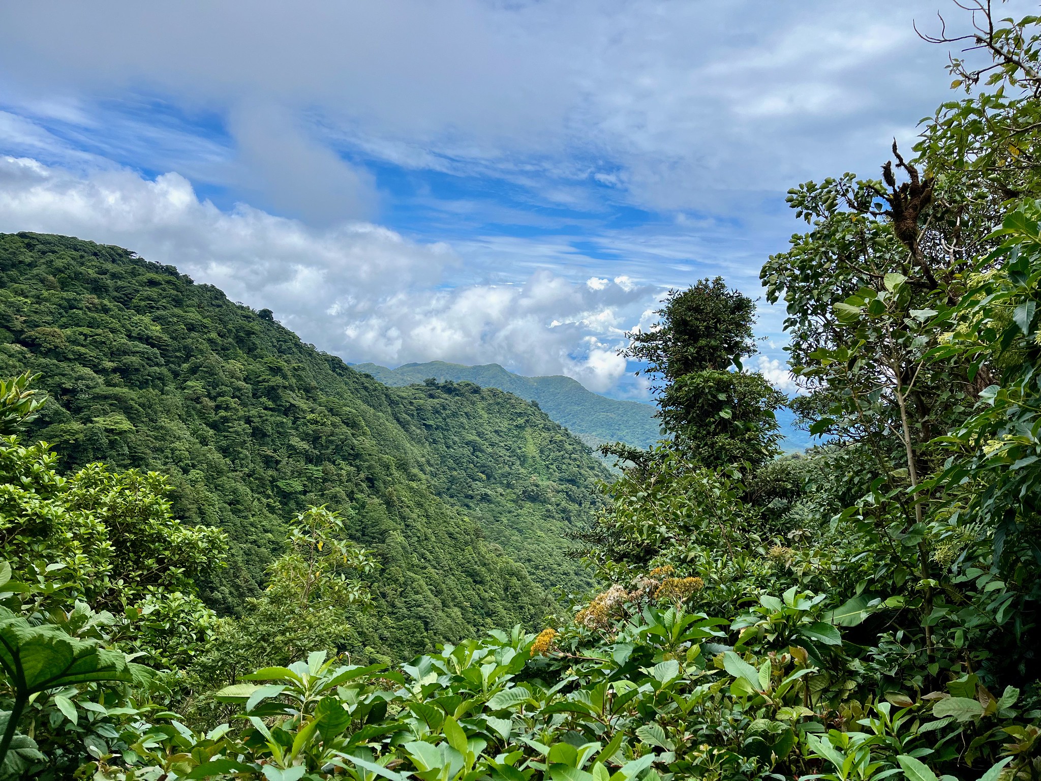 monteverde-3