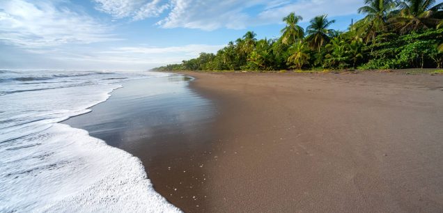 Tortuguero