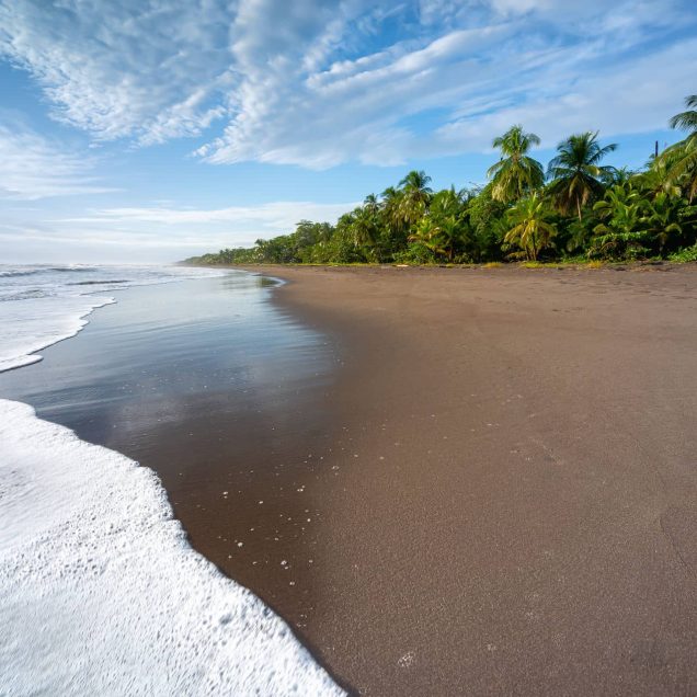 Tortuguero