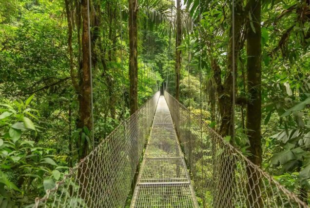 Transport from La Fortuna to Monteverde